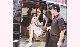 香港八卦新闻爆料,明星隐私大揭秘！