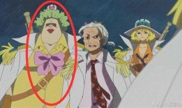 航海王动漫最新爆料视频,新篇章揭秘！最新爆料视频揭示神秘力量与冒险新起点